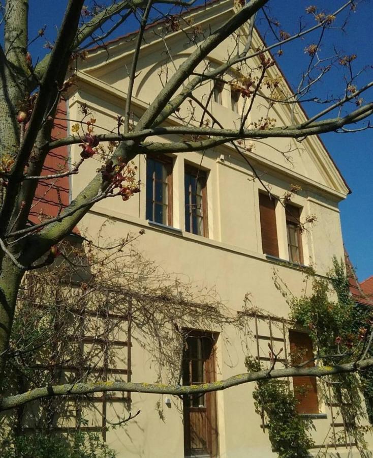 Haus Schmeile Магдебург Екстер'єр фото
